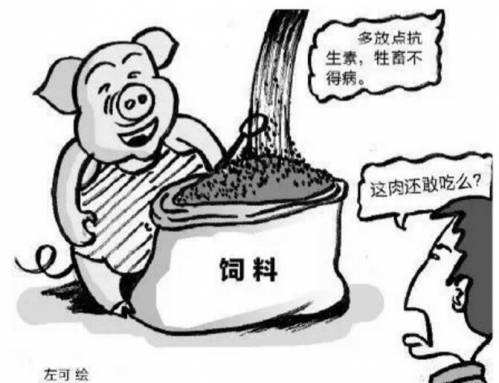 病害肉检测仪